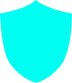 A teal colored animated blank shield